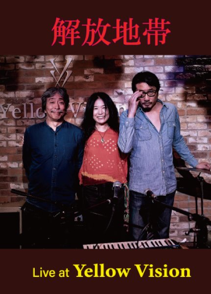 画像1: 解放地帯（蜂谷真紀、加藤崇之、本田珠也）『Live at Yellow Vision』（DVD） (1)