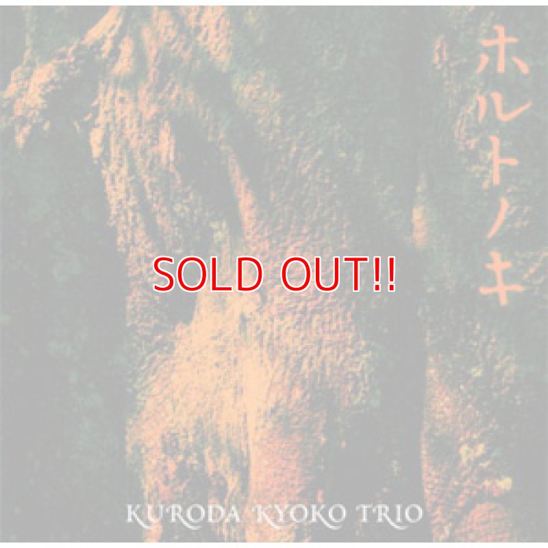 画像1: 黒田京子トリオ『ホルトノキ』 (1)