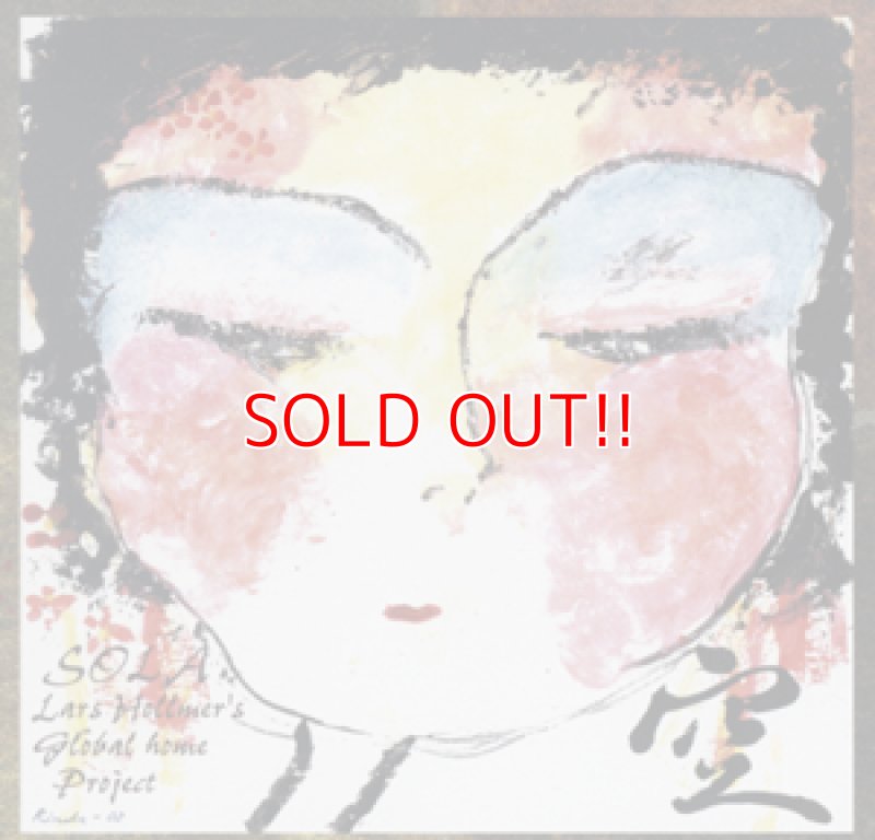 画像1: SOLA Lars Hollmer's Global home Project (1)