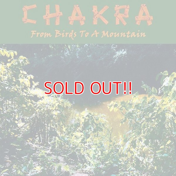 画像1: CHAKRA『From Birds To A Mountain』[12" Vinyl E.P.]【US盤】 (1)