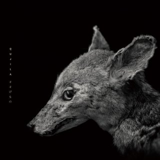 川村結花（かわむらゆか）『private exhibition』