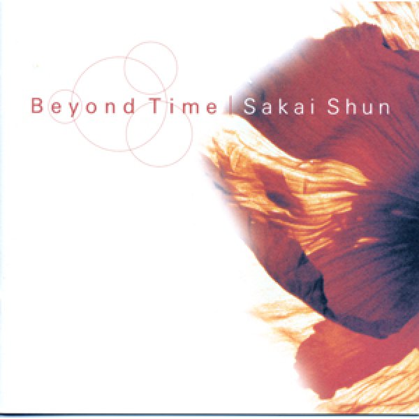 画像1: 酒井俊『Beyond Time』 (1)