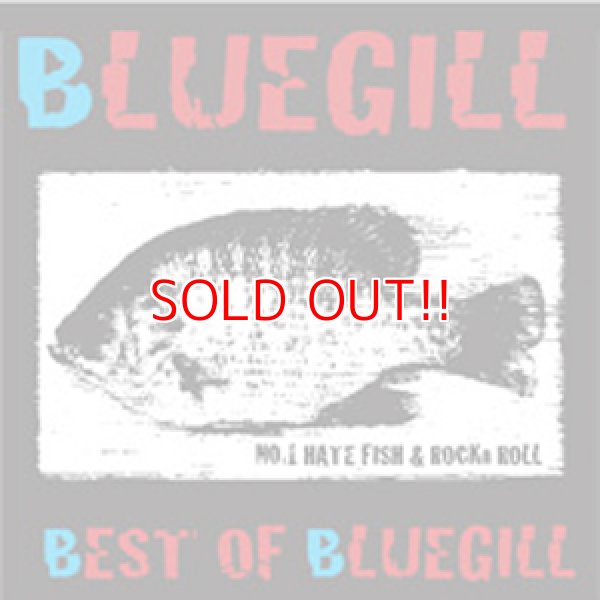 画像1: BLUEGILL『BEST OF BLUEGILL』 (1)