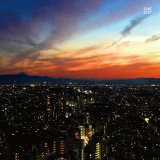 画像: 太田惠資・加藤崇之・坂本弘道・藤掛正隆『OKSF』